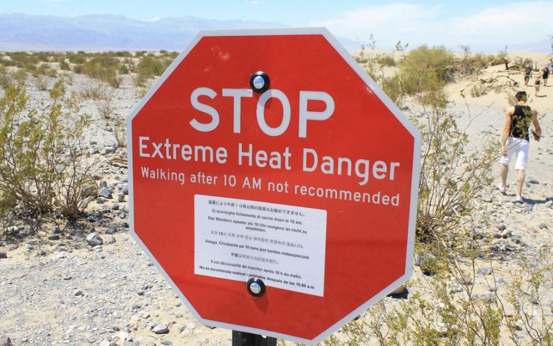 ALLARME PER IL CALDO ESTREMO, E NON TUTTI POSSONO DIFENDERSENE